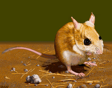 Amiga Pixel art 2, Graaf-_images-Graaf_DuskyHoppingMouse.tft1