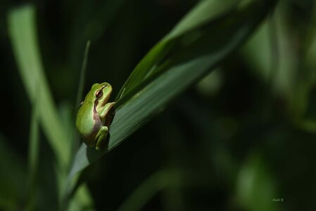 TEST1, 78