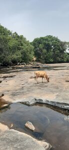 On visite du pays !, Cascades de Kambadaga