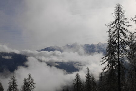 2021-03-07-12-ski-etoiles-en-ecrins, alpes-aventure-ski-randonnee--les-lauzes-puy-saint-vincent-2021-03-12-01