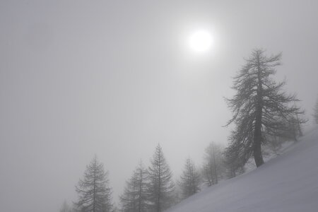 2021-03-07-12-ski-etoiles-en-ecrins, alpes-aventure-ski-randonnee--les-lauzes-puy-saint-vincent-2021-03-12-06
