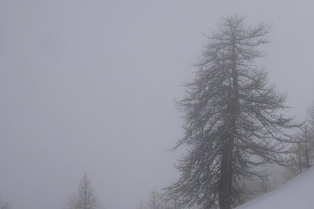 2021-03-07-12-ski-etoiles-en-ecrins, alpes-aventure-ski-randonnee--les-lauzes-puy-saint-vincent-2021-03-12-08