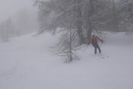 2021-03-07-12-ski-etoiles-en-ecrins, alpes-aventure-ski-randonnee--les-lauzes-puy-saint-vincent-2021-03-12-11