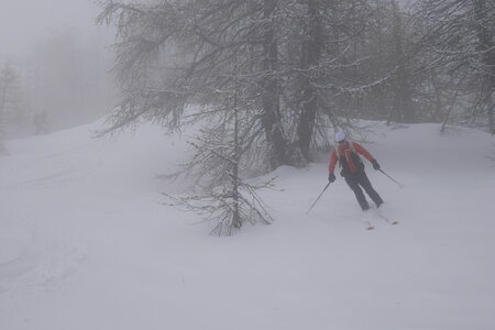 2021-03-07-12-ski-etoiles-en-ecrins, alpes-aventure-ski-randonnee--les-lauzes-puy-saint-vincent-2021-03-12-12