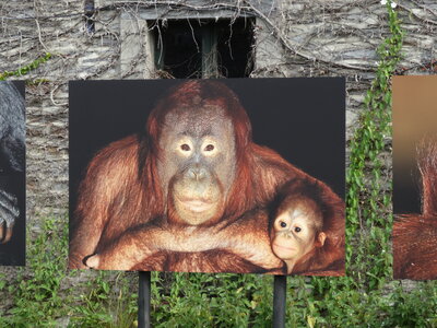 Festival photos La Gacilly 2012<br>@copyleft <a href=https://www.le-fab-lab.com>Le Fab'Blab</a> Licence Art Libre, la-gacilly-012