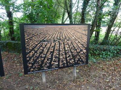 Festival photos La Gacilly 2012<br>@copyleft <a href=https://www.le-fab-lab.com>Le Fab'Blab</a> Licence Art Libre, la-gacilly-022