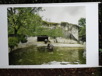Festival photos La Gacilly 2012<br>@copyleft <a href=https://www.le-fab-lab.com>Le Fab'Blab</a> Licence Art Libre, la-gacilly-034