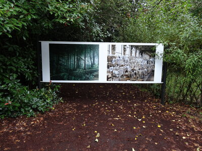 Festival photos La Gacilly 2012<br>@copyleft <a href=https://www.le-fab-lab.com>Le Fab'Blab</a> Licence Art Libre, la-gacilly-036