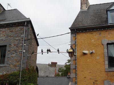 Festival photos La Gacilly 2012<br>@copyleft <a href=https://www.le-fab-lab.com>Le Fab'Blab</a> Licence Art Libre, la-gacilly-083