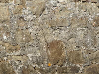 Larmor-Baden 2012<br>@copyleft <a href=https://www.le-fab-lab.com>Le Fab'Blab</a> Licence Art Libre, larmor-baden-044