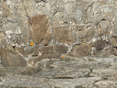 Larmor-Baden 2012<br>@copyleft <a href=https://www.le-fab-lab.com>Le Fab'Blab</a> Licence Art Libre, larmor-baden-045