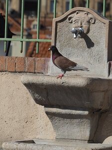 CANNES LE SUQUET 240321, 0049