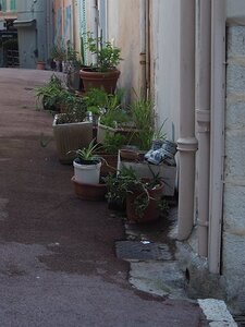 CANNES LE SUQUET 240321, 0077