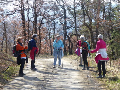 2021 03 25 Viaduc de la Selle, 2021-03-25 Boucle du viaduc de la Selle 115