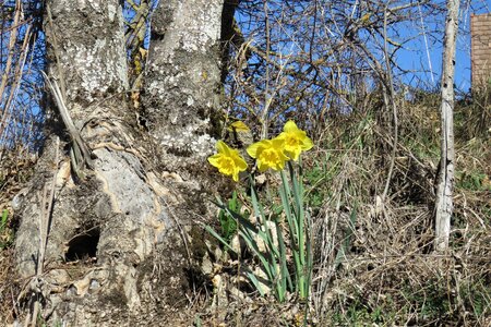 Boucle St Julien-L'Aulagnier, IMG_7180