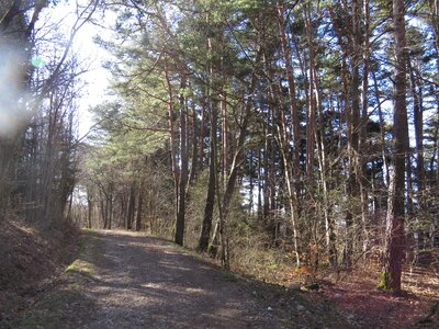 Boucle St Julien-L'Aulagnier, IMG_7181