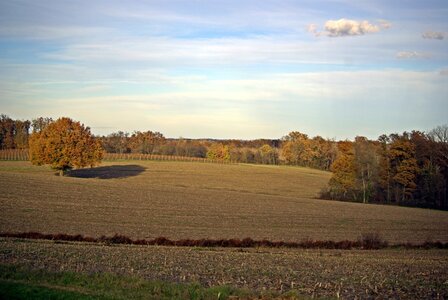 Gers, soleil-froid_5332857632_o