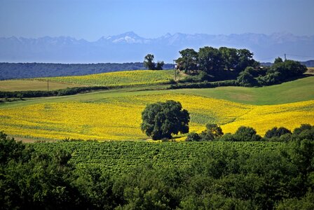 Gers, out-of-summer_5450544799_o