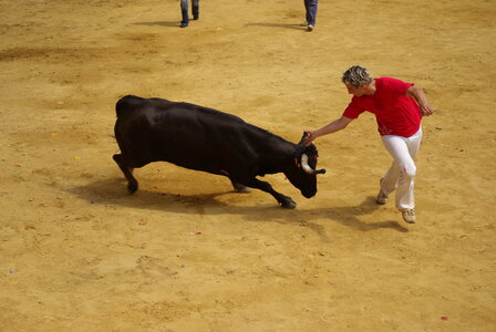 Gers, le-cocardier_1183697526_o