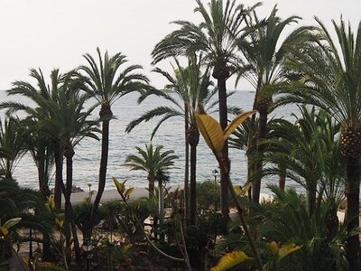 IBIZA DU 310321 AU 050421, 0016