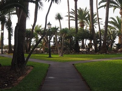 IBIZA DU 310321 AU 050421, 0017