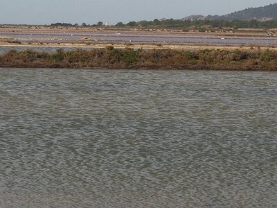 IBIZA DU 310321 AU 050421, Des marais salants à Ibiza