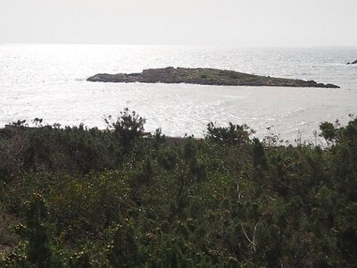 IBIZA DU 310321 AU 050421, 0037