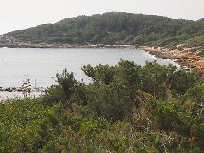 IBIZA DU 310321 AU 050421, 0040