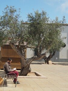 IBIZA DU 310321 AU 050421, 0206
