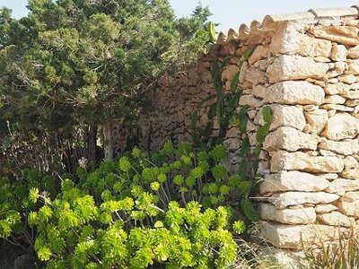 IBIZA DU 310321 AU 050421, 0255