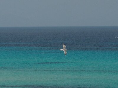 IBIZA DU 310321 AU 050421, 0268
