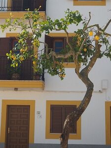 IBIZA DU 310321 AU 050421, 0297