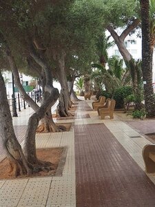 IBIZA SUITE ET FIN, 0339