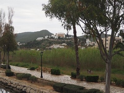 IBIZA SUITE ET FIN, 0341