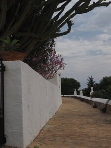 IBIZA SUITE ET FIN, 0368