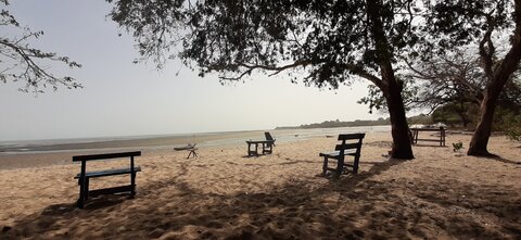 Un p'tit tour en Basse-Guinée !, Une découverte au hasard !