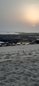 Un p'tit tour en Basse-Guinée !, Sortie de pirogue