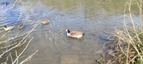 Rolleville, IMG_20210415_151453