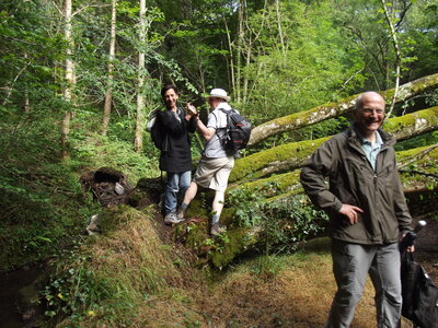 Bretagne 2016 : Album de Danielle et Daniel, DSCF2186
