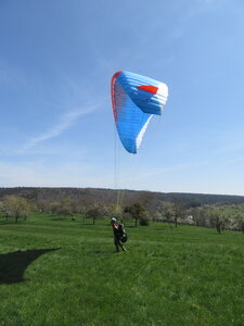Sortie Reinhardsmunster 25 avril, IMG_9214
