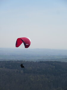 Sortie Reinhardsmunster 25 avril, IMG_9195