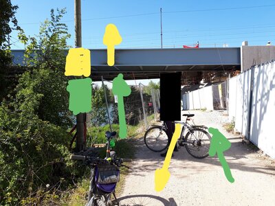 marquage ywb, A209