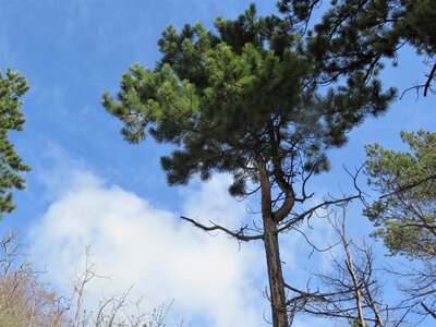 Boucle des Granes, IMG_7218