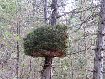 Boucle des Granes, IMG_7225