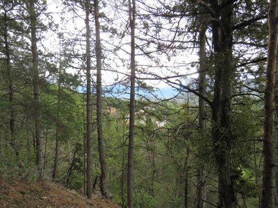 Boucle des Granes, IMG_7240