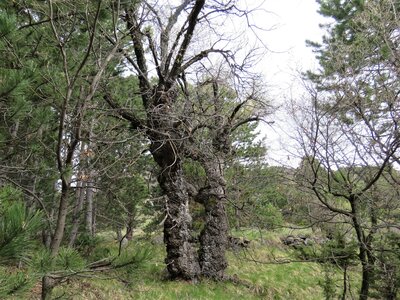 Boucle des Granes, IMG_7241