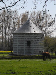 Betteville, DSCN4852