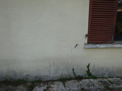Guichen_exp, Facade_Ouest_5_fenetre_milieu