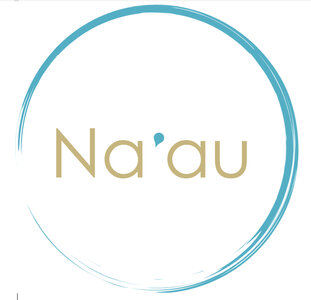 NA'AU, Capture d’écran 2021-05-04 à 17.47.09