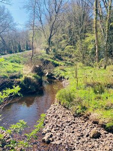 Photos rivières, Le Trottebec